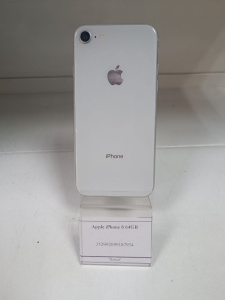 photo_2026-03-31_11-09-15